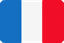 French flag