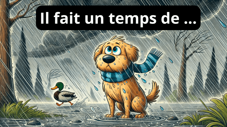 Comprendre la Météo en Français (Niveau A1-A2)